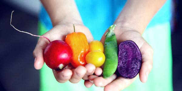 pexels-photo-1196516-1196516 Vibrant fresh vegetables including radish, bell pepper, and peas held in hands symbolizing healthy eating.